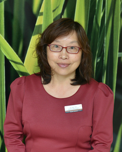 Doctor Team - Dr Han Yan Doctor Team - Dr Han Yan